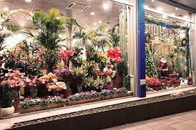 دانلود بیزینس پلن / طرح کسب و کار فروشگاه گل و گیاهان زینتی