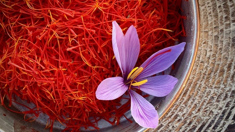 دانلود تحقیق بررسی شاخص های پتانسیل بازار صادرات محصول زعفران